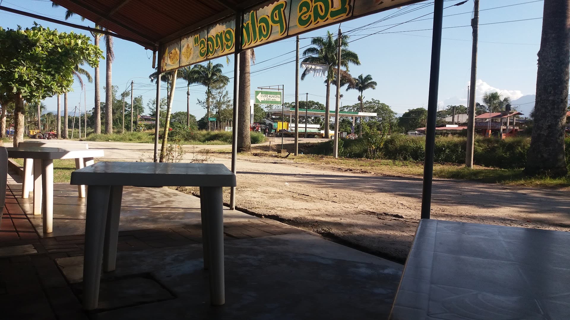 Galeria de Cevicheria "Las Palmeras"